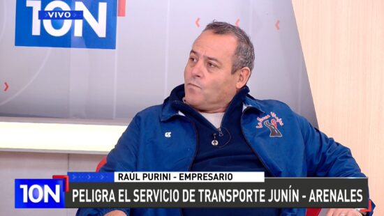 PURINI 2
