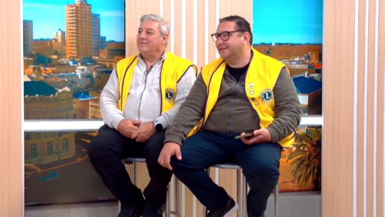LEONES