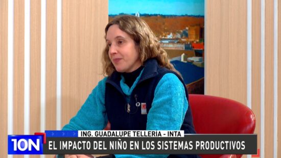 GUADALUPE TELLERIA